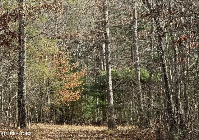 Photo 3 of Land for sale at 1076 Valerie Dr, Deer Lodge, TN 37726 | MLS# 3018476 | Listing updated on 2026-10-02
