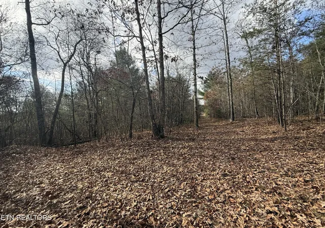 Photo 4 of Land for sale at 1076 Valerie Dr, Deer Lodge, TN 37726 | MLS# 3018476 | Listing updated on 2026-10-02