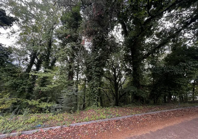 Photo 3 of Land for sale at 4810 Delashmitt Road, Hixson, TN 37343 | MLS# 3030792 | Listing updated on 2026-09-11