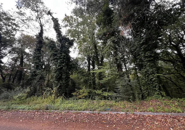 Photo 4 of Land for sale at 4810 Delashmitt Road, Hixson, TN 37343 | MLS# 3030792 | Listing updated on 2026-09-11