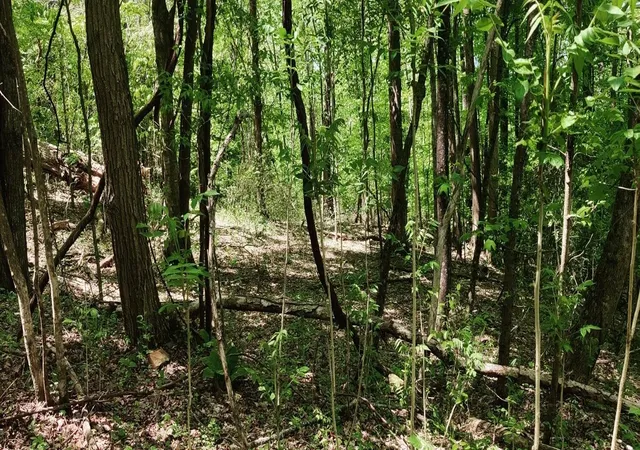 Photo 1 of Land for sale at 0 Coburntown (lot 11) Rd, South Pittsburg, TN 37380 | MLS# 3039769 | Listing updated on 2026-09-11