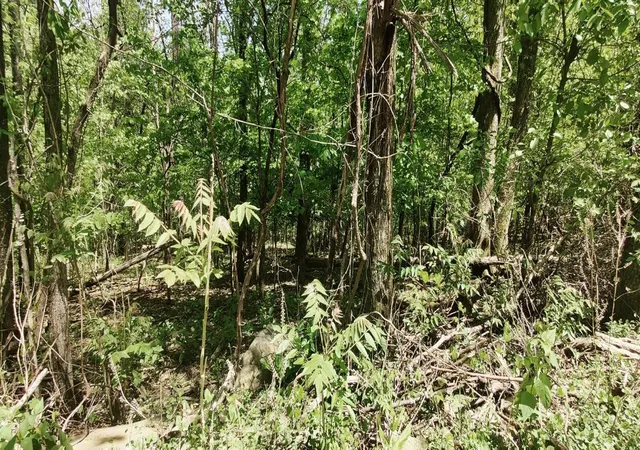 Photo 3 of Land for sale at 0 Coburntown (lot 11) Rd, South Pittsburg, TN 37380 | MLS# 3039769 | Listing updated on 2026-09-11