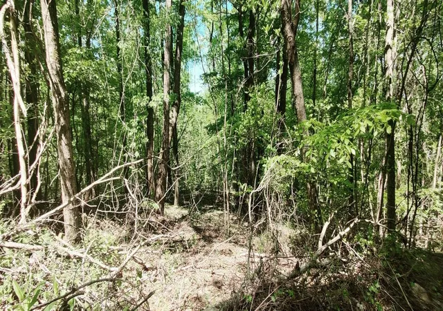Photo 1 of Land for sale at 0 Coburntown (lot 13) Rd, South Pittsburg, TN 37380 | MLS# 3039774 | Listing updated on 2026-09-11