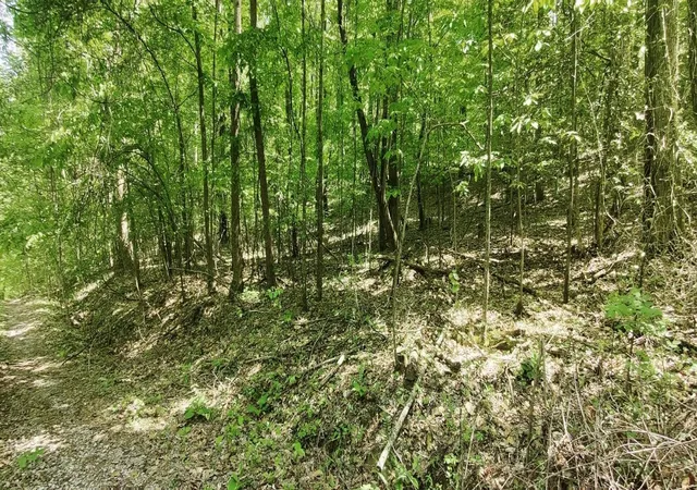 Photo 2 of Land for sale at 0 Coburntown (lot 13) Rd, South Pittsburg, TN 37380 | MLS# 3039774 | Listing updated on 2026-09-11