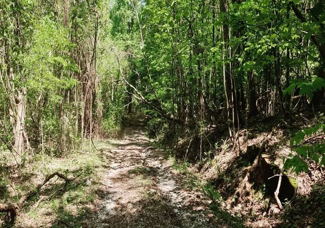Photo 3 of Land for sale at 0 Coburntown (lot 13) Rd, South Pittsburg, TN 37380 | MLS# 3039774 | Listing updated on 2026-09-11