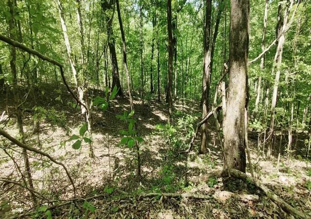 Photo 3 of Land for sale at 0 Coburntown (lot 13) Rd, South Pittsburg, TN 37380 | MLS# 3039774 | Listing updated on 2026-09-11