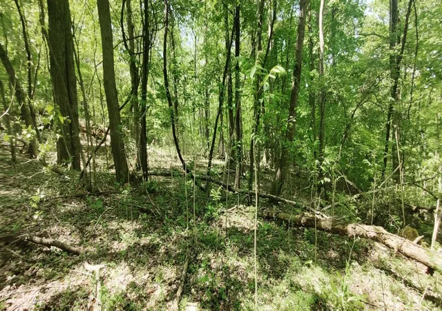 Photo 4 of Land for sale at 0 Coburntown (lot 13) Rd, South Pittsburg, TN 37380 | MLS# 3039774 | Listing updated on 2026-09-11