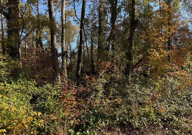 Photo 3 of Land for sale at 0 Apache Road, Jackson, GA 30233 | MLS# 3043137 | Listing updated on 2026-09-11