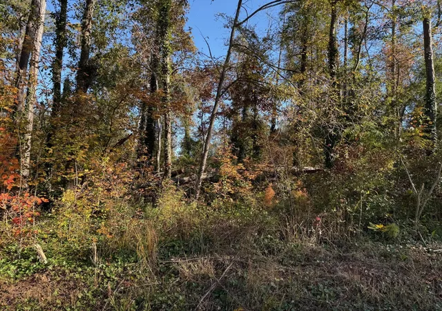 Photo 3 of Land for sale at 0 Apache Road, Jackson, GA 30233 | MLS# 3043137 | Listing updated on 2026-09-11