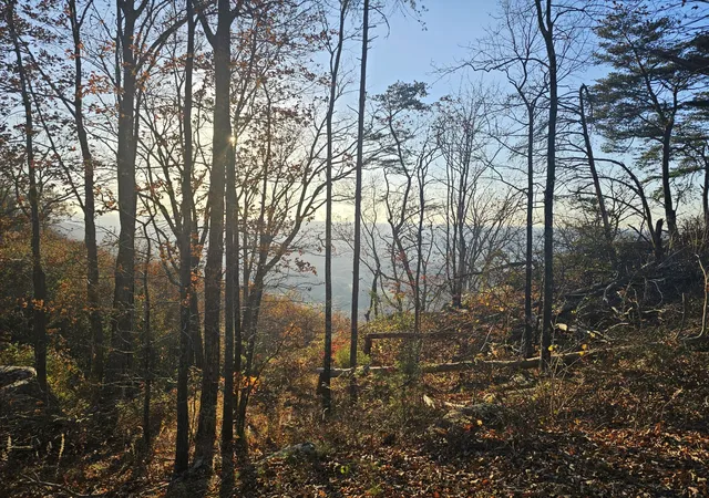 Land for sale at 407 Brow Wood Ln, Lookout Mountain, GA 30750 | MLS# 3045231