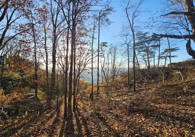 Photo 3 of Land for sale at 407 Brow Wood Ln, Lookout Mountain, GA 30750 | MLS# 3045231 | Listing updated on 2026-10-06