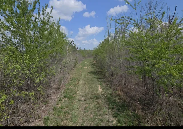 Photo 2 of Land for sale at 830 Twin Pines Overlook, Lobelville, TN 37097 | MLS# 3045307 | Listing updated on 2026-09-24