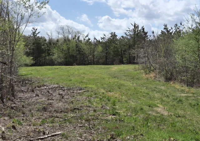 Photo 3 of Land for sale at 830 Twin Pines Overlook, Lobelville, TN 37097 | MLS# 3045307 | Listing updated on 2026-09-24