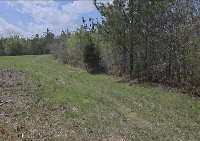 Photo 4 of Land for sale at 830 Twin Pines Overlook, Lobelville, TN 37097 | MLS# 3045307 | Listing updated on 2026-09-24