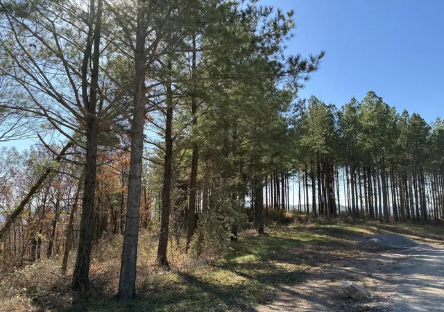 Photo 2 of Land for sale at 4690 Split Rail Way, Guild, TN 37340 | MLS# 3050013 | Listing updated on 2026-10-08