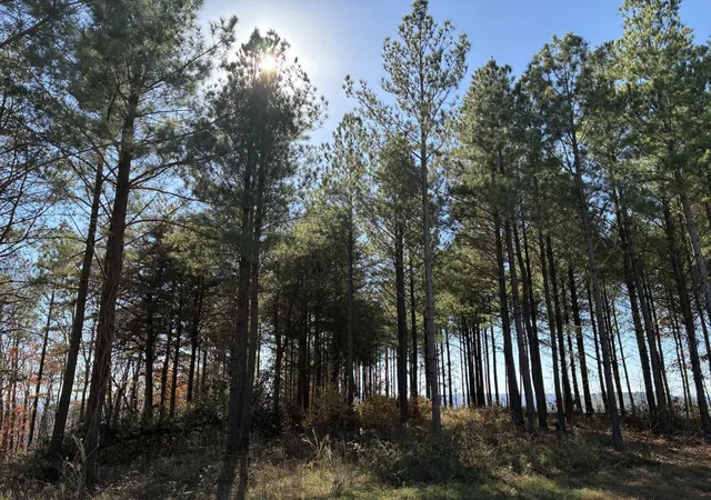 Photo 3 of Land for sale at 4690 Split Rail Way, Guild, TN 37340 | MLS# 3050013 | Listing updated on 2026-10-08