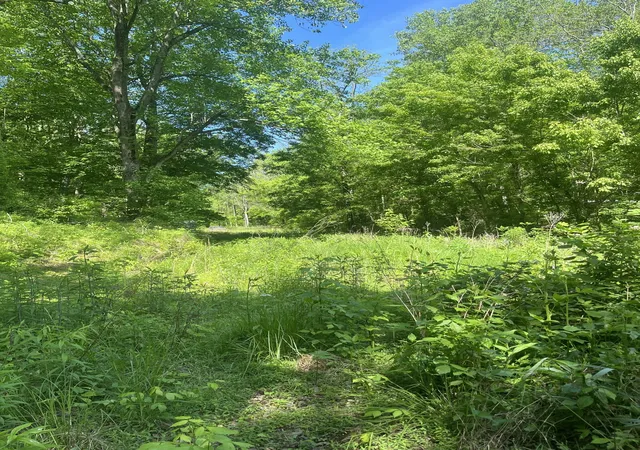 Photo 2 of Land for sale at 0 Hawkins Rd, Westmoreland, TN 37186 | MLS# 3056569 | Listing updated on 2026-09-14