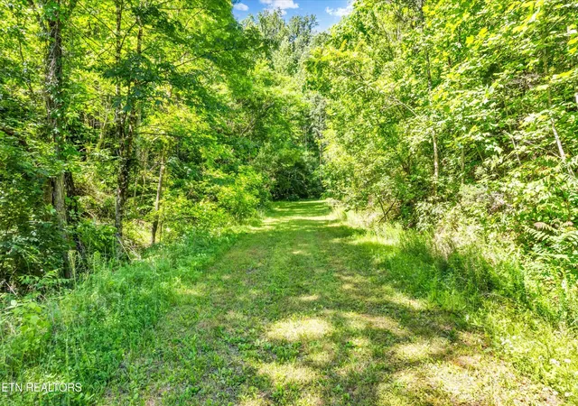 Photo 4 of Land for sale at 0 Amis Way, Sevierville, TN 37876 | MLS# 3544592 | Listing updated on 2026-09-11
