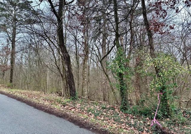 Photo 2 of Land for sale at 310 Brumlow Hollow Road, Soddy Daisy, TN 37379 | MLS# 3525994 | Listing updated on 2026-09-11