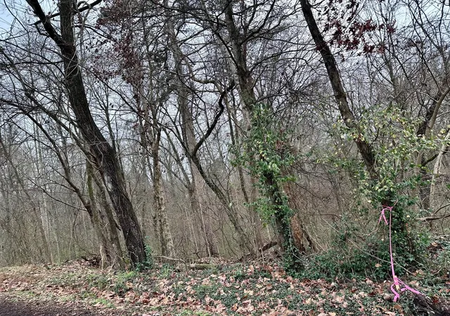 Photo 3 of Land for sale at 310 Brumlow Hollow Road, Soddy Daisy, TN 37379 | MLS# 3525994 | Listing updated on 2026-09-11
