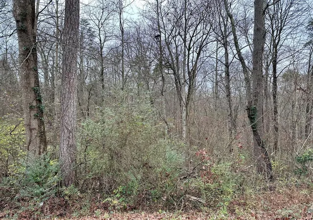 Photo 3 of Land for sale at 310 Brumlow Hollow Road, Soddy Daisy, TN 37379 | MLS# 3525994 | Listing updated on 2026-09-11