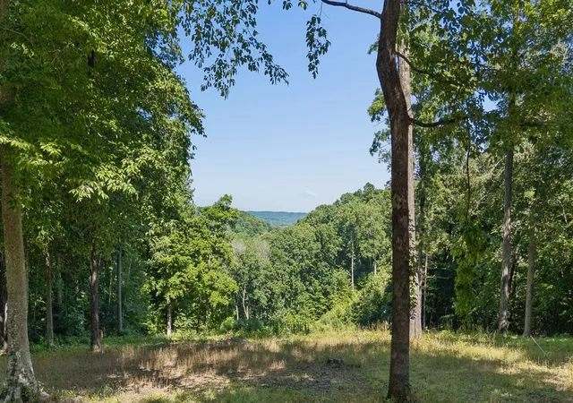 Photo 3 of Sale Pending at 5436 Parker Branch Rd, Franklin, TN 37064 | MLS# 3059143 | Listing updated on 2026-09-10