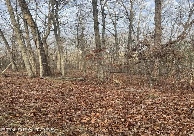 Photo 2 of Land for sale at 240 Albemarle Cir, Crossville, TN 38558 | MLS# 3060695 | Listing updated on 2026-09-11
