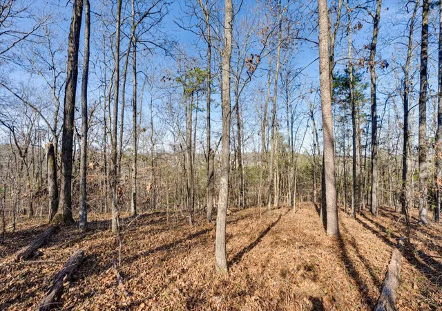 Photo 3 of Land for sale at 5831 Hunter Rd, Ooltewah, TN 37363 | MLS# 3061117 | Listing updated on 2026-09-11