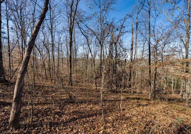 Photo 4 of Land for sale at 5831 Hunter Rd, Ooltewah, TN 37363 | MLS# 3061117 | Listing updated on 2026-09-11