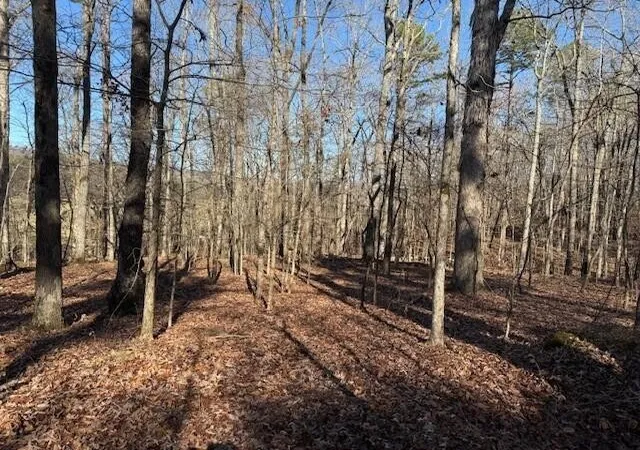 Photo 1 of Land for sale at 1 County Rd 751, Valley Head, AL 35989 | MLS# 3068184 | Listing updated on 2026-09-11
