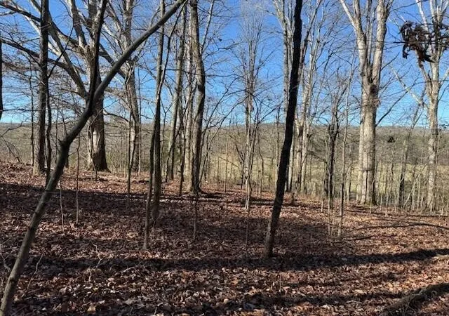 Photo 2 of Land for sale at 1 County Rd 751, Valley Head, AL 35989 | MLS# 3068184 | Listing updated on 2026-09-11