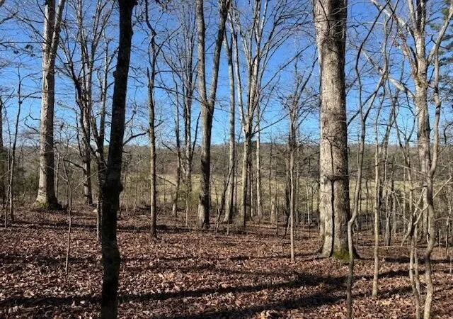 Photo 3 of Land for sale at 1 County Rd 751, Valley Head, AL 35989 | MLS# 3068184 | Listing updated on 2026-09-11