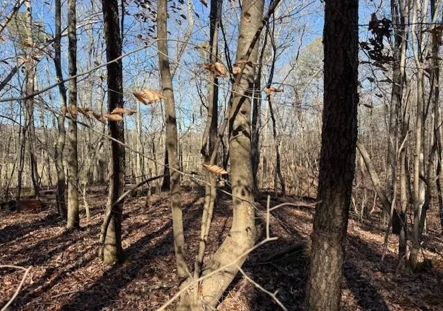 Photo 4 of Land for sale at 1 County Rd 751, Valley Head, AL 35989 | MLS# 3068184 | Listing updated on 2026-09-11