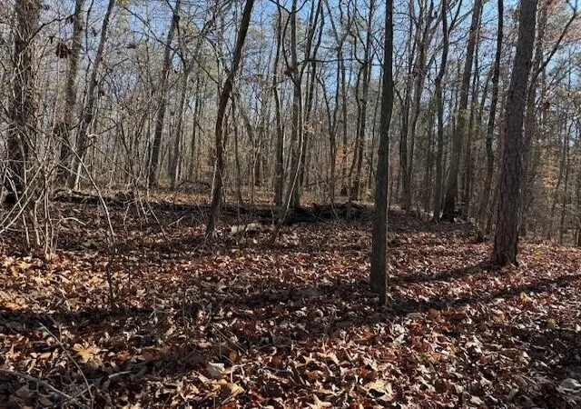 Photo 1 of Land for sale at 2 County Rd 751, Valley Head, AL 35989 | MLS# 3068187 | Listing updated on 2026-09-11