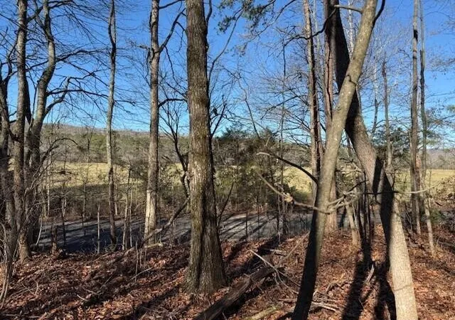 Photo 2 of Land for sale at 2 County Rd 751, Valley Head, AL 35989 | MLS# 3068187 | Listing updated on 2026-09-11