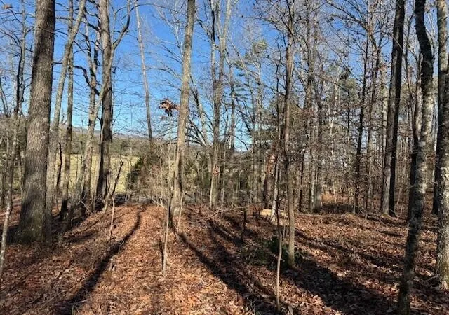 Photo 3 of Land for sale at 2 County Rd 751, Valley Head, AL 35989 | MLS# 3068187 | Listing updated on 2026-09-11