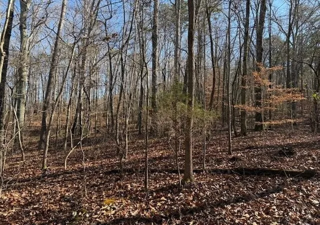 Photo 3 of Land for sale at 2 County Rd 751, Valley Head, AL 35989 | MLS# 3068187 | Listing updated on 2026-10-26