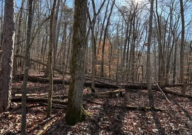 Photo 4 of Land for sale at 2 County Rd 751, Valley Head, AL 35989 | MLS# 3068187 | Listing updated on 2026-10-26