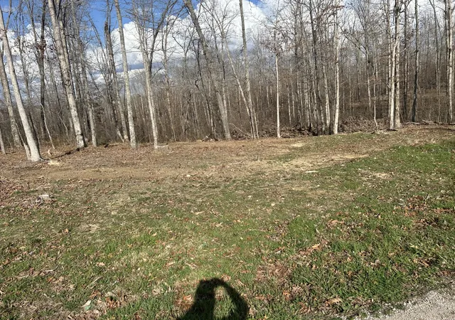 Photo 2 of Land for sale at 1 Slaughter Rd, Primm Springs, TN 38476 | MLS# 3070794 | Listing updated on 2026-09-11