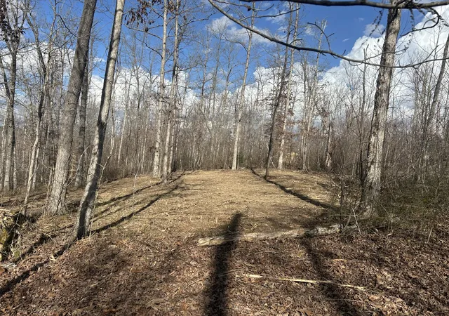 Photo 3 of Land for sale at 1 Slaughter Rd, Primm Springs, TN 38476 | MLS# 3070794 | Listing updated on 2026-09-11