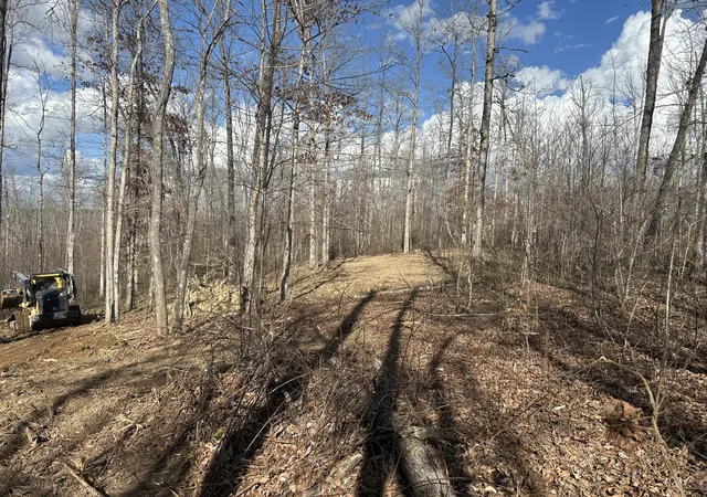 Photo 3 of Land for sale at 1 Slaughter Rd, Primm Springs, TN 38476 | MLS# 3070794 | Listing updated on 2026-10-06