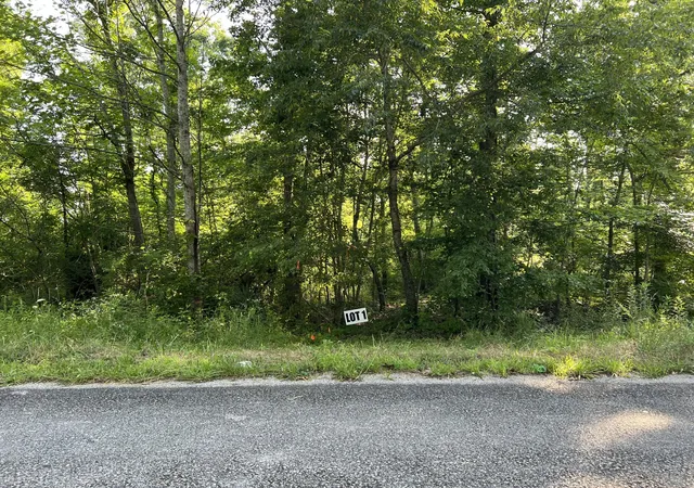 Photo 4 of Land for sale at 1 Slaughter Rd, Primm Springs, TN 38476 | MLS# 3070794 | Listing updated on 2026-10-06