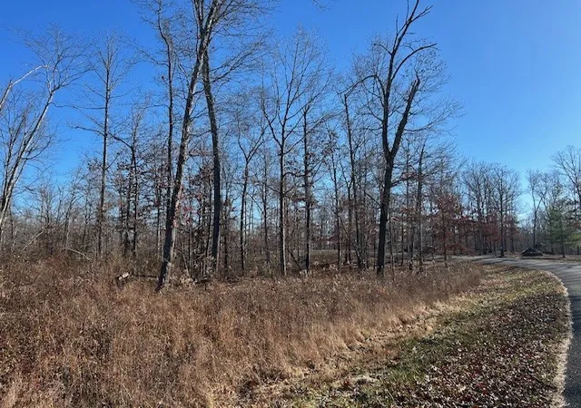 Photo 3 of Land for sale at 3 Slaughter Rd, Primm Springs, TN 38476 | MLS# 3071548 | Listing updated on 2026-09-10