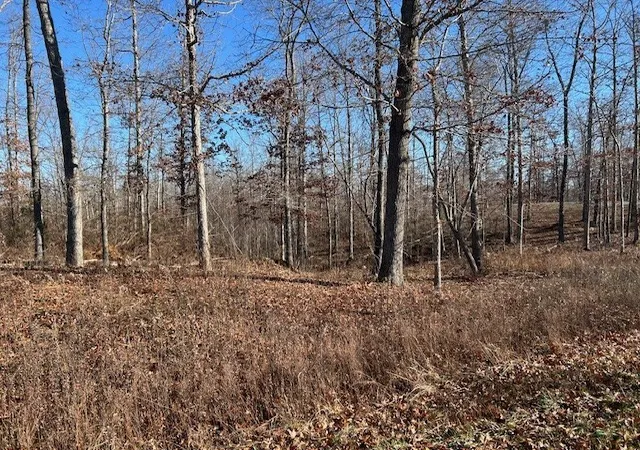 Photo 4 of Land for sale at 3 Slaughter Rd, Primm Springs, TN 38476 | MLS# 3071548 | Listing updated on 2026-09-10