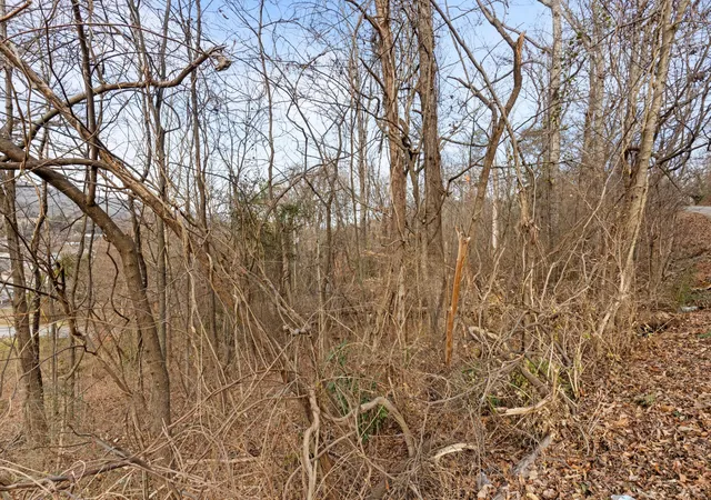 Photo 3 of Land for sale at 0 Orlando Dr, Red Bank, TN 37415 | MLS# 3072025 | Listing updated on 2026-09-11