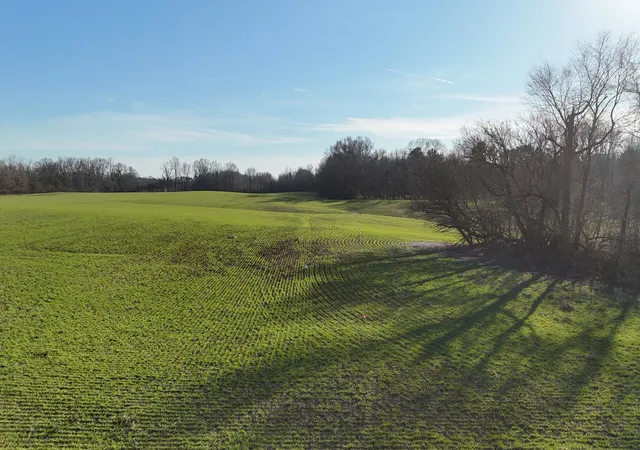Photo 4 of Land for sale at 0 Chambers Rd, Millington, TN 38053 | MLS# 3078728 | Listing updated on 2026-10-03