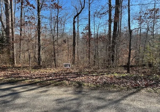 Photo 1 of Land for sale at 6 Slaughter Rd, Primm Springs, TN 38476 | MLS# 3078304 | Listing updated on 2026-09-10