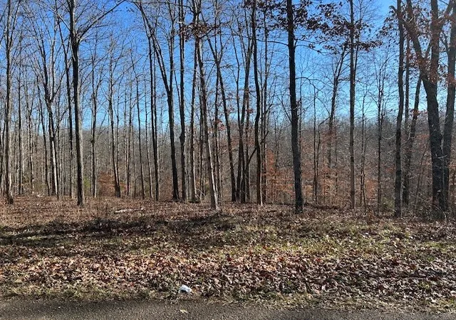 Photo 3 of Land for sale at 6 Slaughter Rd, Primm Springs, TN 38476 | MLS# 3078304 | Listing updated on 2026-09-10