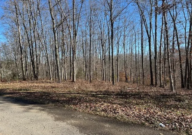 Photo 4 of Land for sale at 6 Slaughter Rd, Primm Springs, TN 38476 | MLS# 3078304 | Listing updated on 2026-09-10