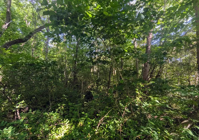 Photo 4 of Land for sale at 0 County Rd 493, Etowah, TN 37331 | MLS# 3135213 | Listing updated on 2026-09-11